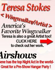 Teresa Stokes &ndash; Wingwalker/Artist