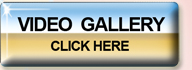 Video Gallery
